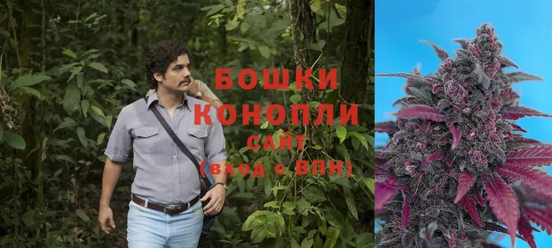 Бошки Шишки Bruce Banner  купить закладку  Бабаево 